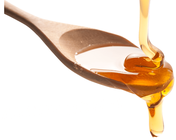 ABOUT HONEY